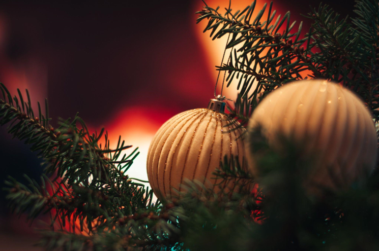 How a Noble Fir and Small Pink Christmas Tree Can Benefit Your Skin Care Routine