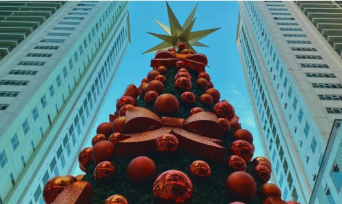 Make Memories with Christmas Trees & Build Community